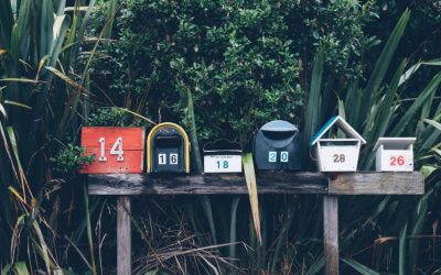 Newsletter Marketing Platforms We Know and Love